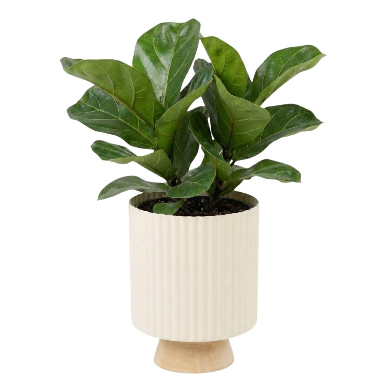 URBNLIVING 1pc Fluted Metal Planter with Wooden Stand, Ribbed Matte Finish Decorative Flower Pot, Raised Indoor Plant Holder for Home Office Decor (White)