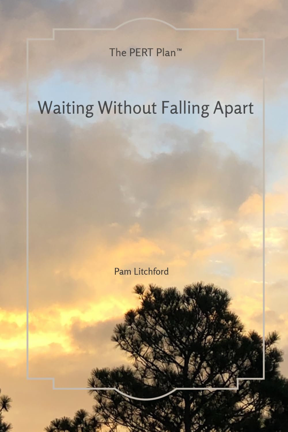 Waiting Without Falling Apart: A Christian Devotional for Trusting God Through Waiting, Uncertainty, and Overthinking (The Pert Plan ™)