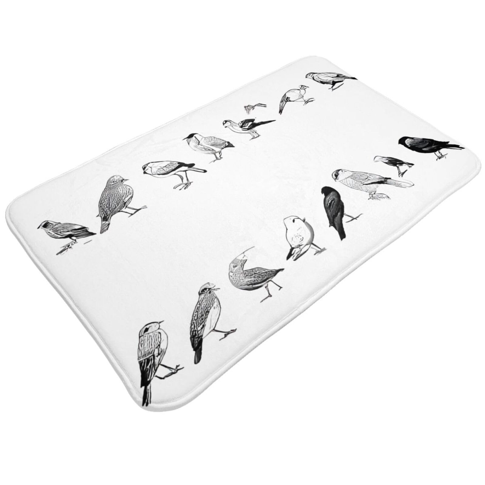 Black and White Birds Print Living Room Bathroom Kitchen Anti Slip and Absorbent Carpet, Indoor Entrance Door Muddy Floor Mat, Ultra Soft Washable Carpet 21x31.5 Inches