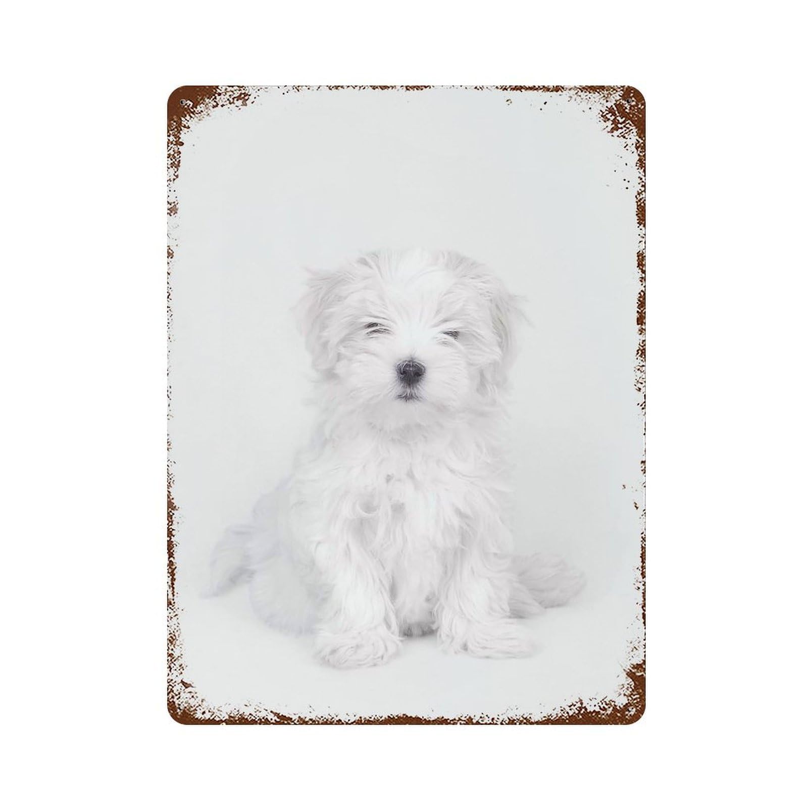 Rust Effect Maltese Dog Puppy Decorative Tin Sign 15.7"x11.8", Vintage Wall Decor for Farmhouse, Kitchen And Entryway Decor