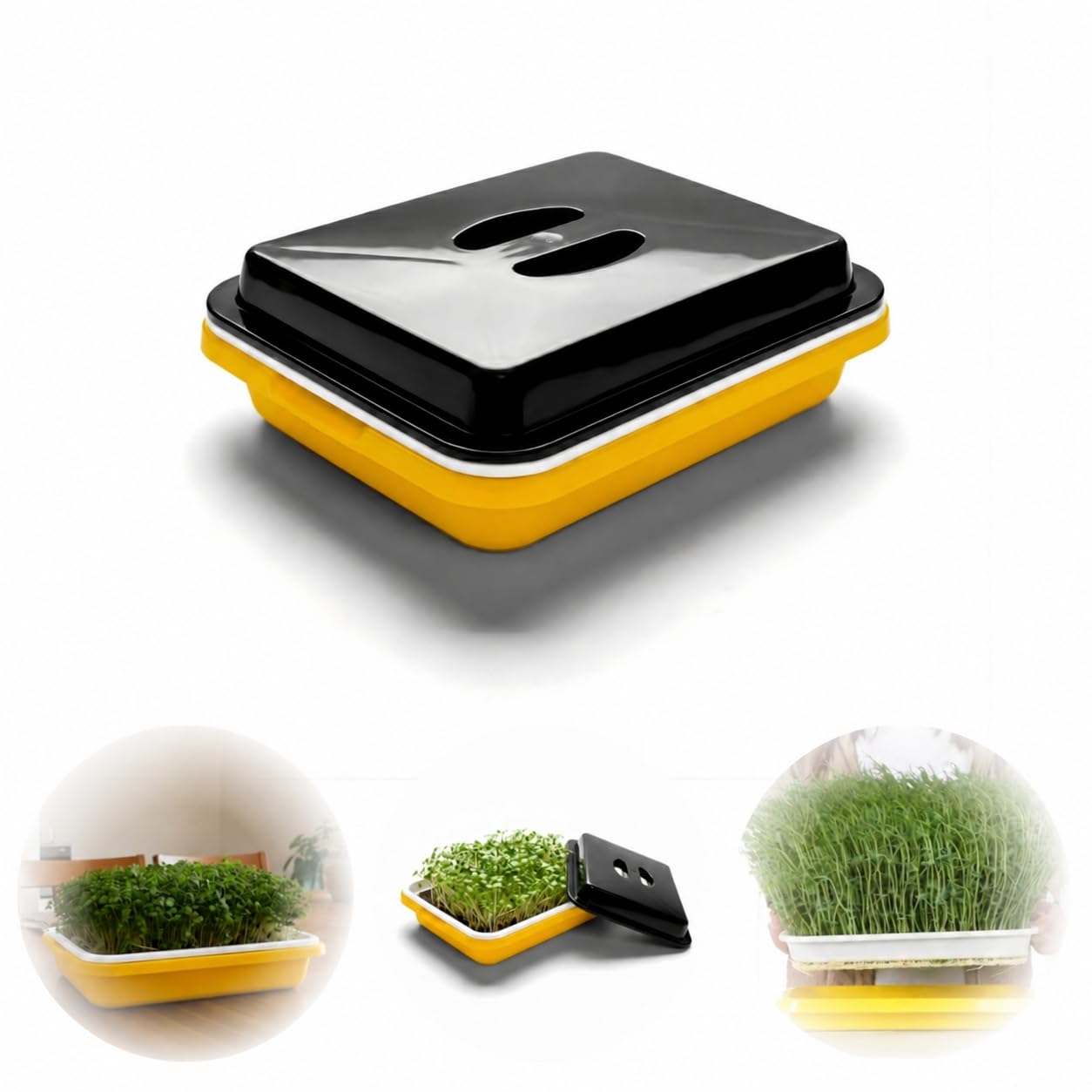 Seed Sprouter Tray Black Lid Faster Germination (1, Yellow)-image-38