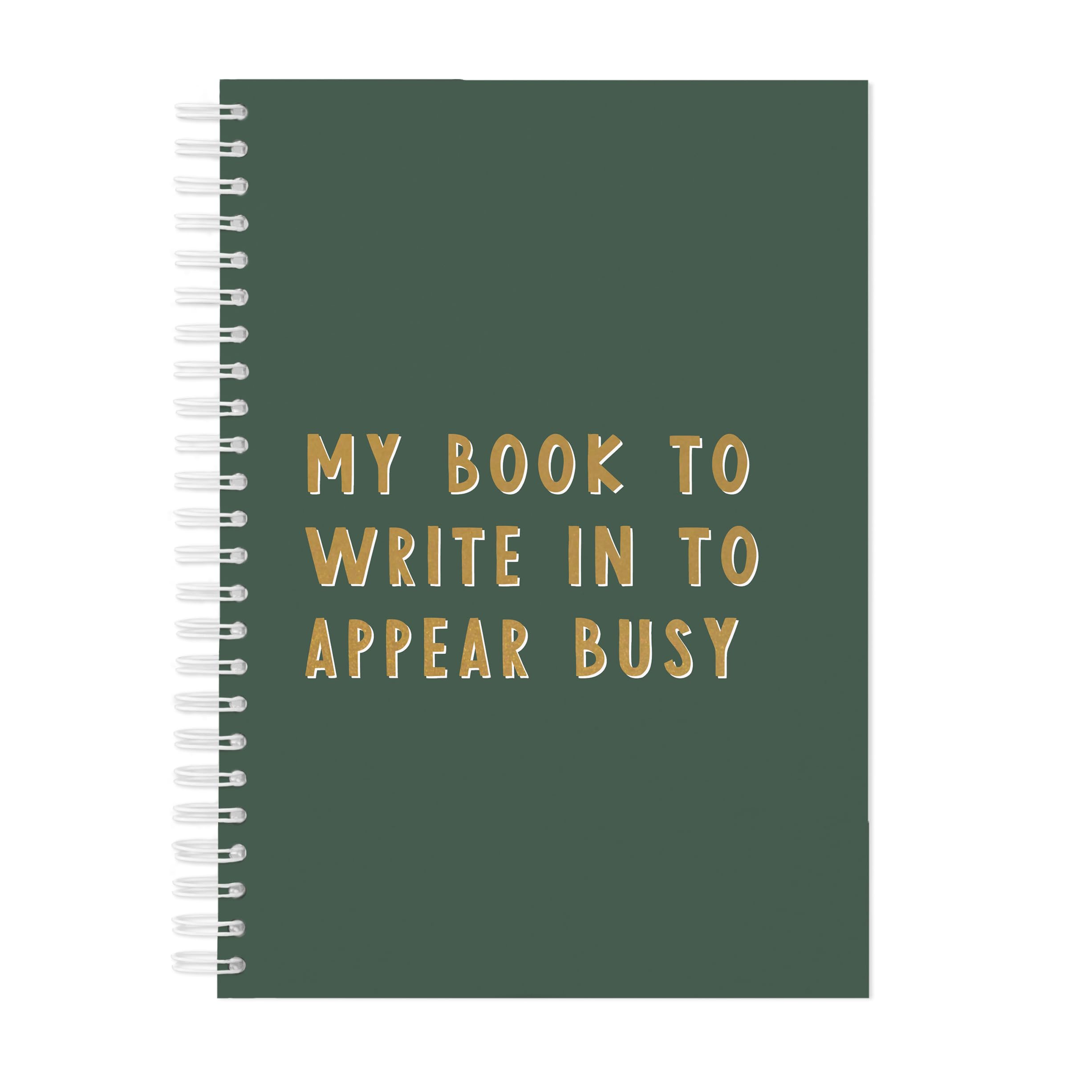 Manta Makes My book to write in to appear busy notebook spiralbound | secret santa christ gift for colleague | funny joke christmas gift for work bestie or colleagues (Plain, Green)