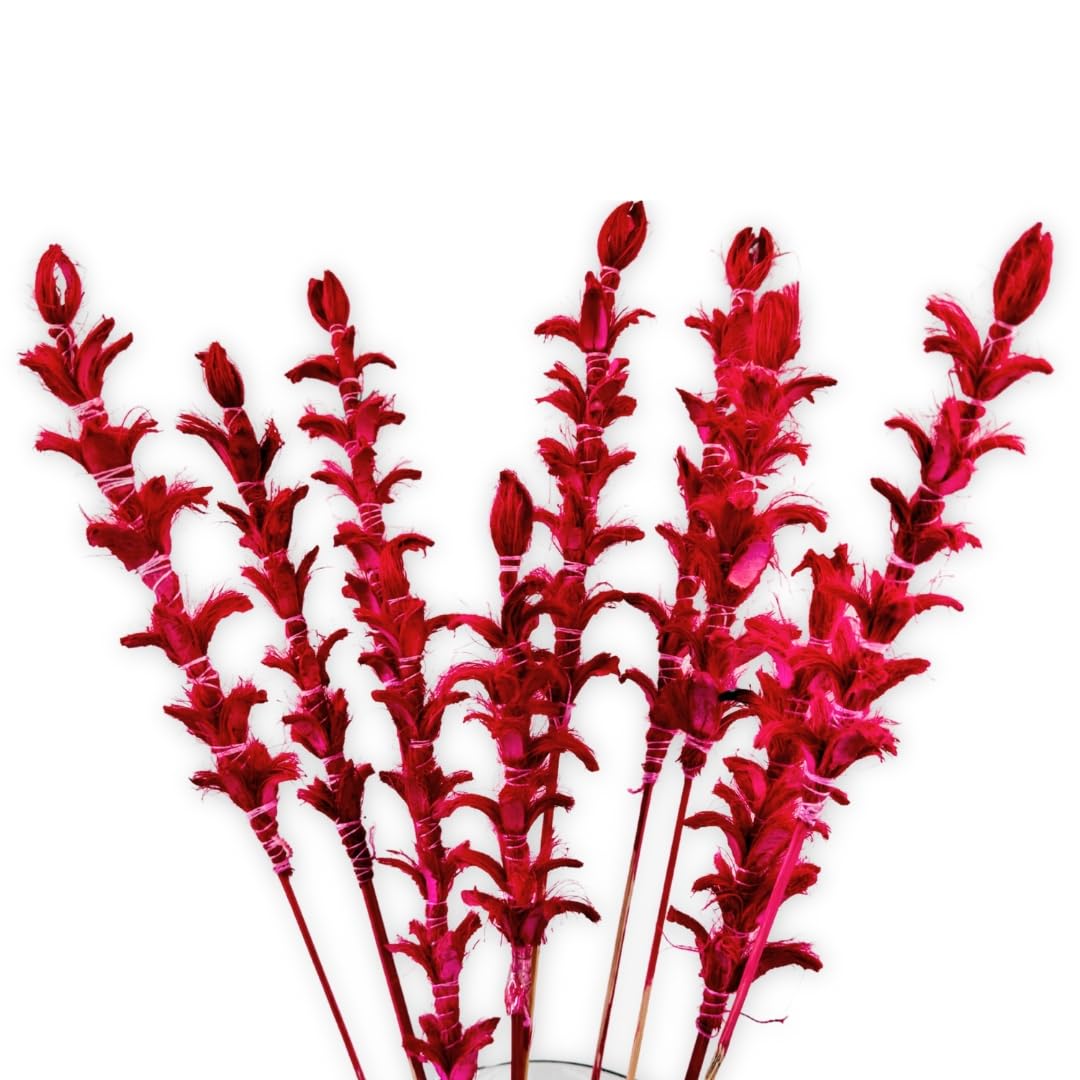 Dried Ginger Stems |Set of 10 Sticks |Natural, Textured & Sturdy for Rustic Decor | Ideal for Floral Styling, Centerpieces & Creative Displays(Red)-picture-14