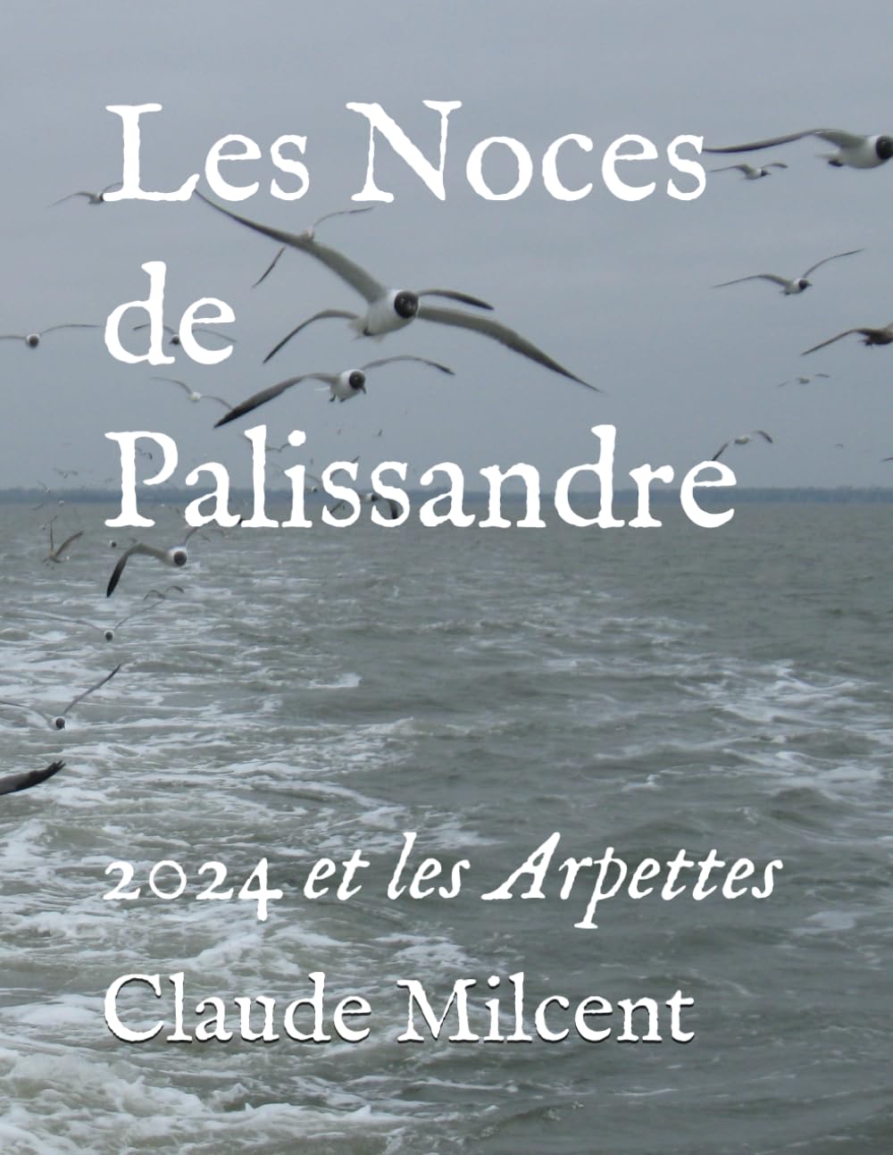 Les Noces de Palissandre: 2024 et les Arpettes, idée cadeau culturel idéal