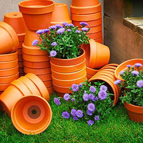 Shemist 100Pcs Pot Hole Mesh Pad, Bonsai Pot Bottom Grid Mat Mesh, Plant Drainage Screens Gasket, Round Drainage Mesh Hole Screens Keep Soil From Flowing Away, 2 Inch #TOP6