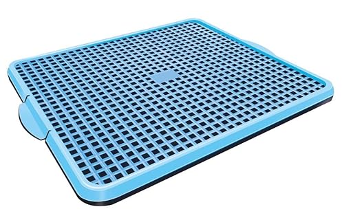 Kit Casinha Caixa De transporte E Sanitário Pet Dog N1 Cor:azul