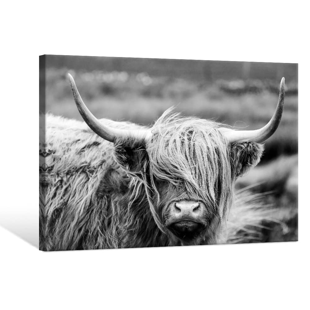 SEVEN WALL ARTS Highland Cow Photography 36x24