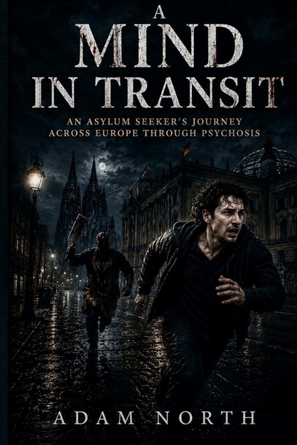 A Mind in Transit: An Asylum Seeker’s Journey Across Europe Through Psychosis