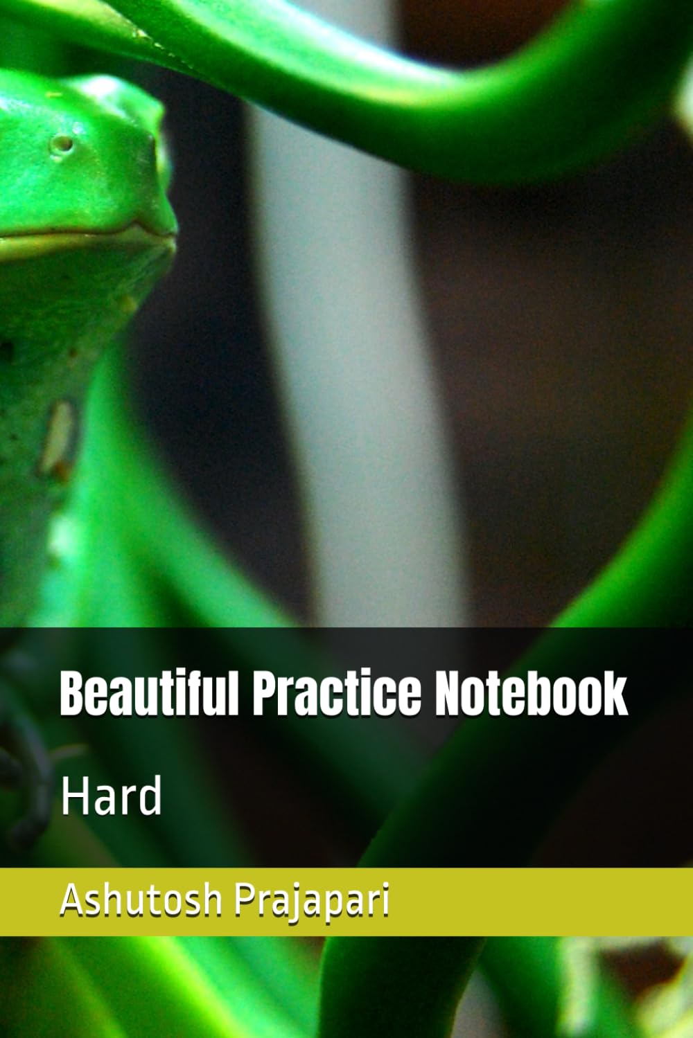 Carnet de notes Beautiful Practice solide idéal pour le bureau et vos déplacements