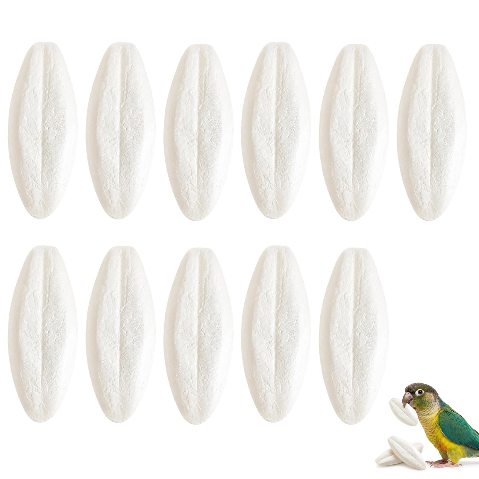 EujRcf 11 Pcs Cuttlefish Bone for Birds, Parrots Chew Toys, Large Cuttlefish Bone for Tortoise Calcium, Natural Cuttlefish for Parrots, Reptiles, Snails and Turtles