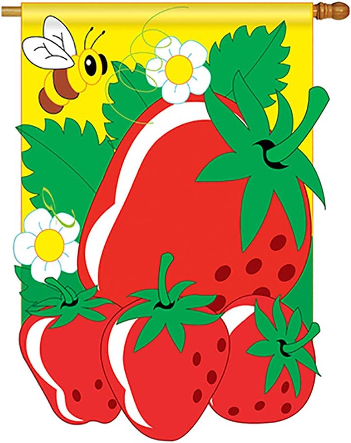 Two Group - Strawberries Food - Everyday Fruits Applique Decorative Vertical House Flag 28" x 44"