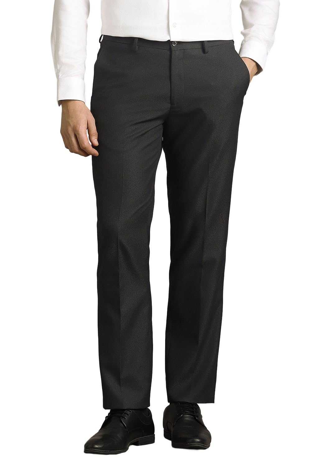 louis philippe Men Black Textured Flat Front Formal Trousers-picture-12