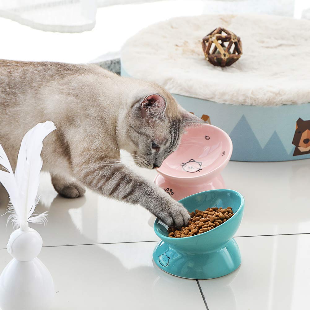 Sweejar Erhöhte Keramik-Futterschüssel für Katzen, schräge Katzenfutter, Futter- oder Wassernäpfe, erhöhter Futternapf aus Porzellan, Stressfrei, Rückflussverhinderung (Türkis)