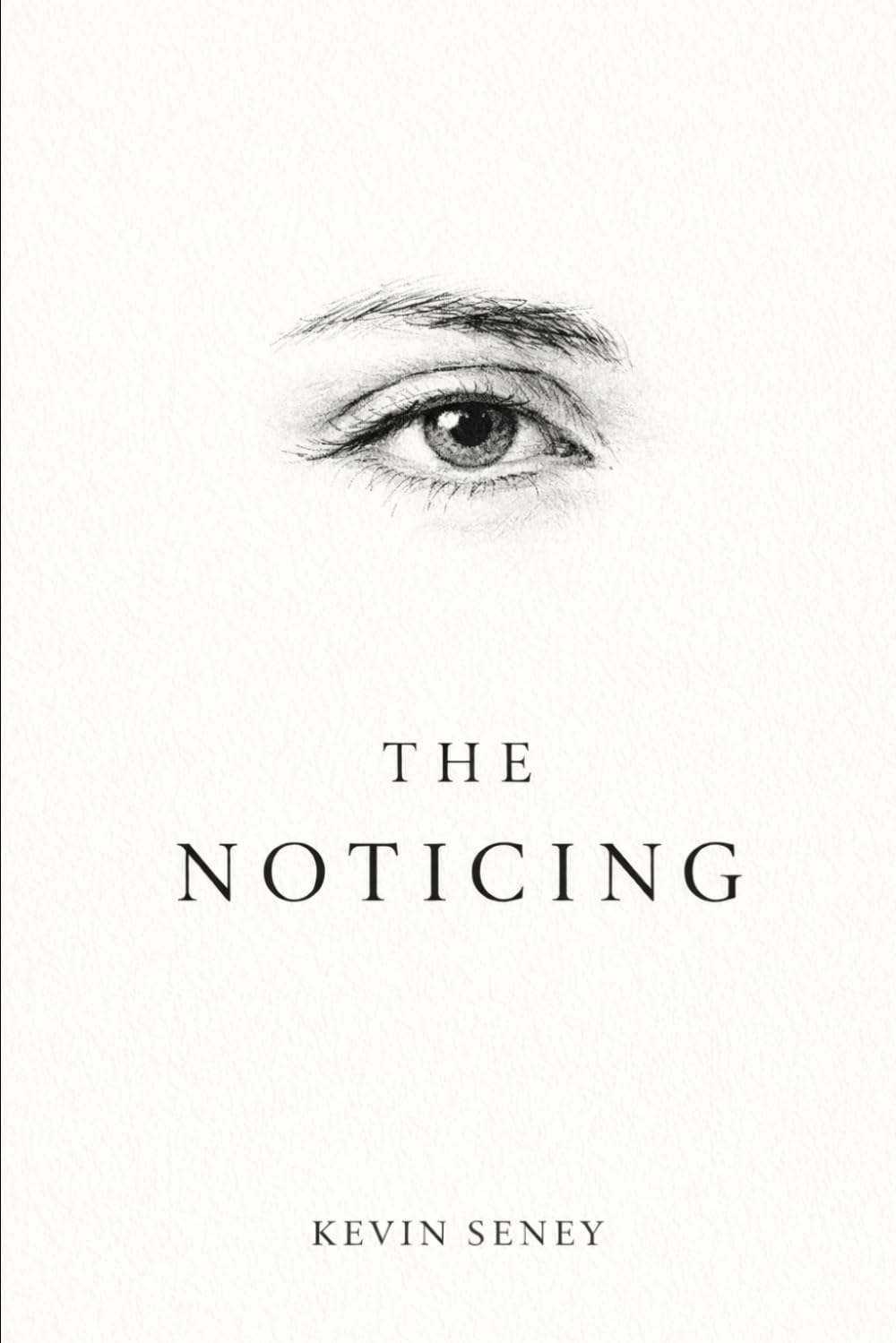 THE NOTICING: A Novel of Awareness and Mystery (FICTION)