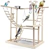 Bird Playground, Parrot Play Stand with 2 Layers of Stand Toys, Playpen for Parakeet Cockatiel Lovebirds, Exercise Playgym with Feeding Cups Stainless Steel