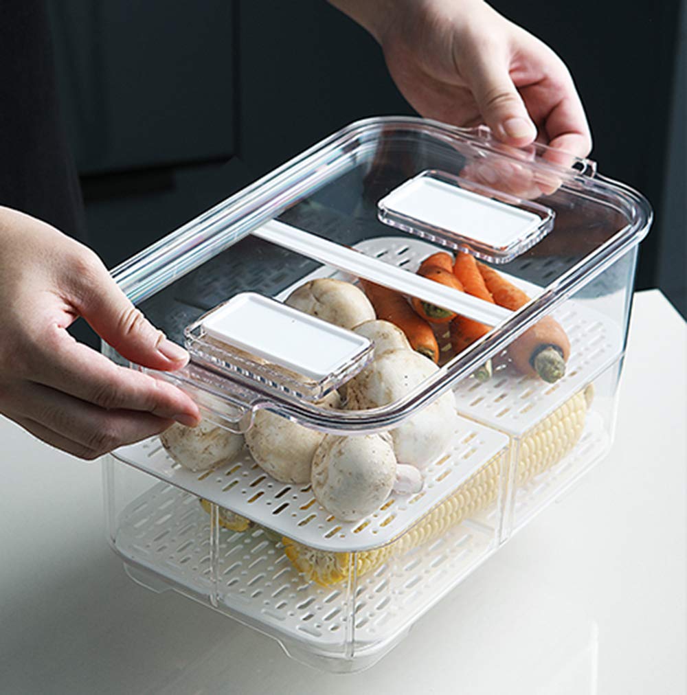 blitzlabs Fridge Food Storage Container Lettuce Container, Fresh