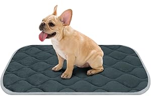 Dog Bed Mat M 30x19