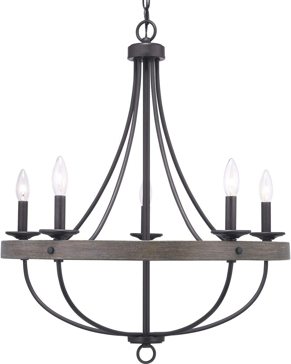 Progress Lighting Gulliver Collection 5-Light Coastal Chandelier Light Graphite,Black