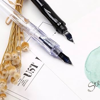 新品未使用 PILOT 万年筆 m.jpg