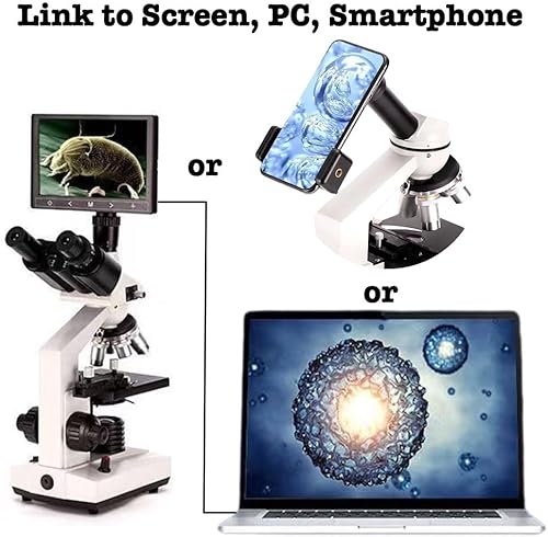 Miniatura 6 de Microscopio compuesto 40X-5000X, microscopio trinocular profesional para laboratorio de adultos, con diapositivas de microscopio, oculares WF10X y