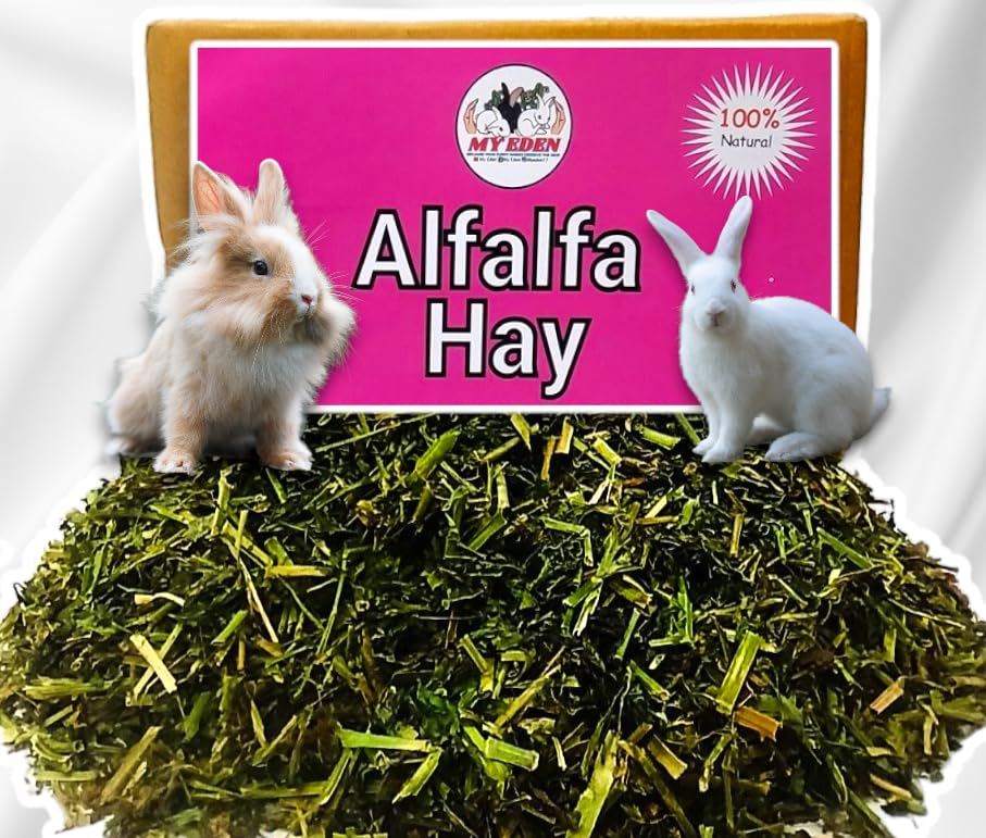 My Eden Natural Alfalfa Hay | Food for Rabbits, Guinea Pig, Hamsters and Other Small Animals | High Fiber Food | Pesticides Free (500 Gm)