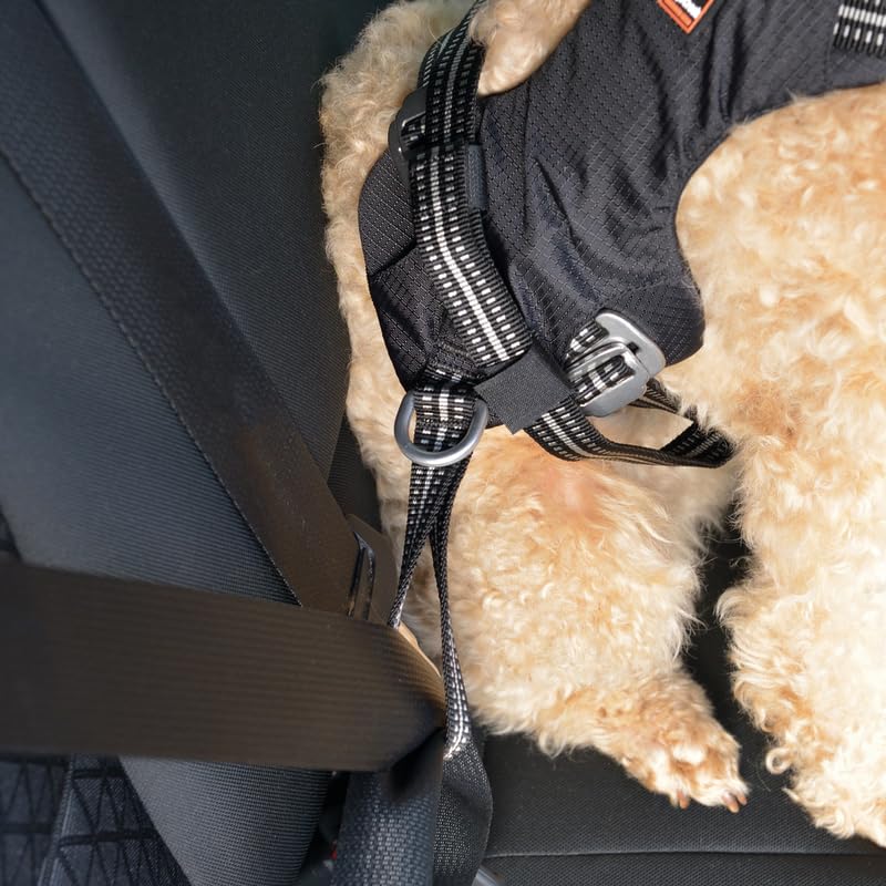 Dogs Creek Auto-Sicherheitsgeschirr Renegade XS