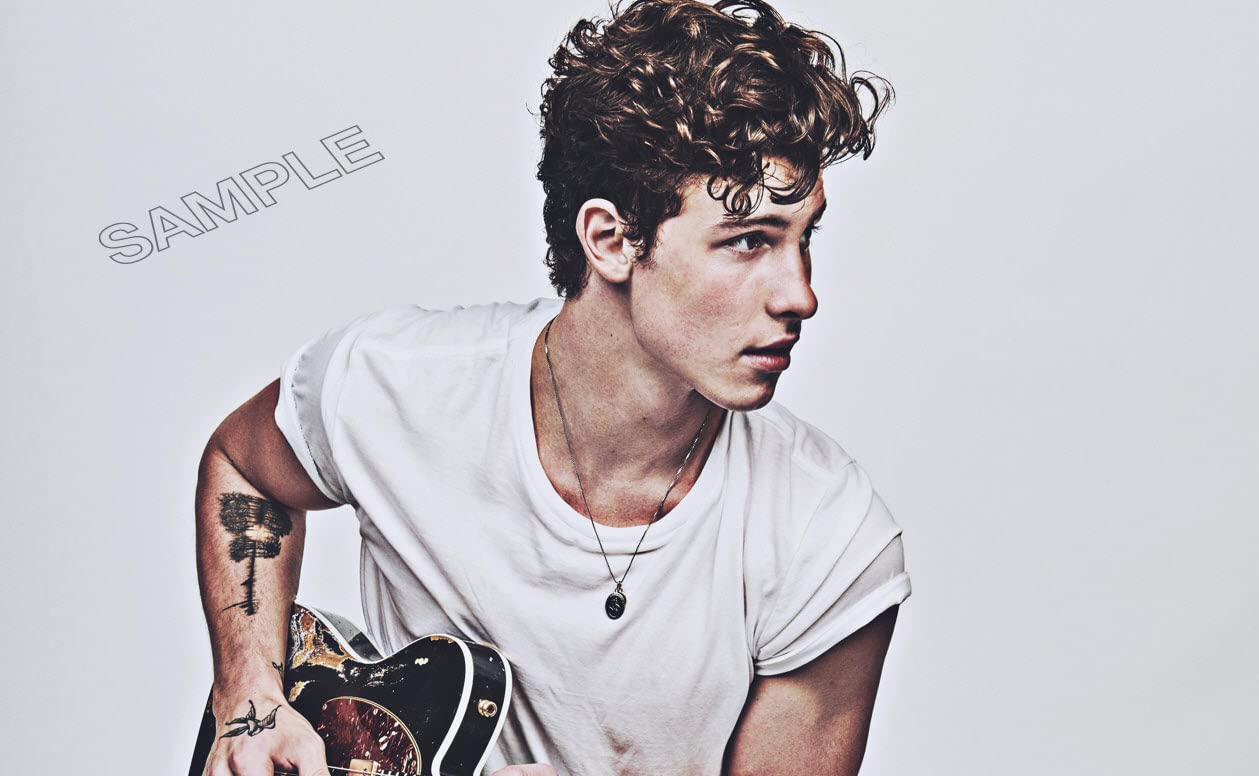Shawn Mendes Poster Canadian Singer Pop Music Photo Wall Art Picture Poster A4