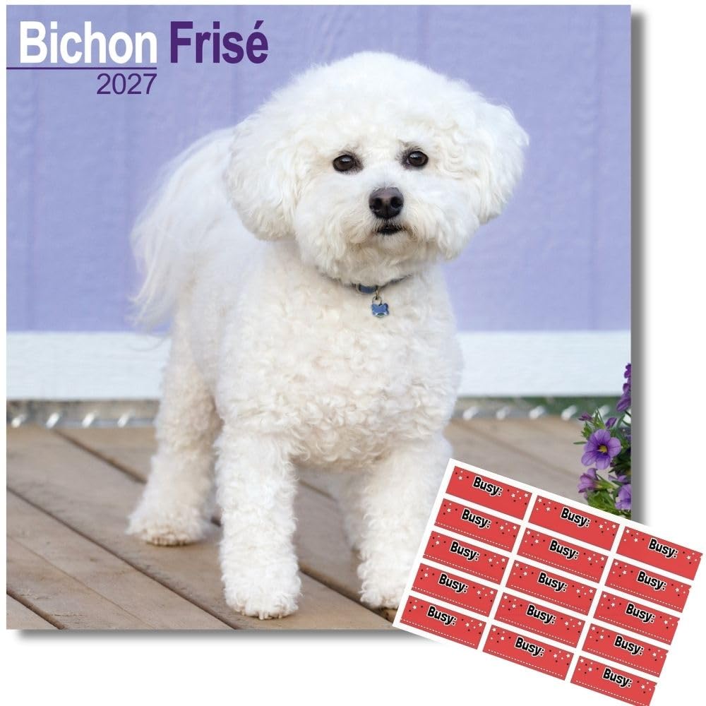 Avonside Bichon Frise 2027 Square Calendar with Organisational Stickers
