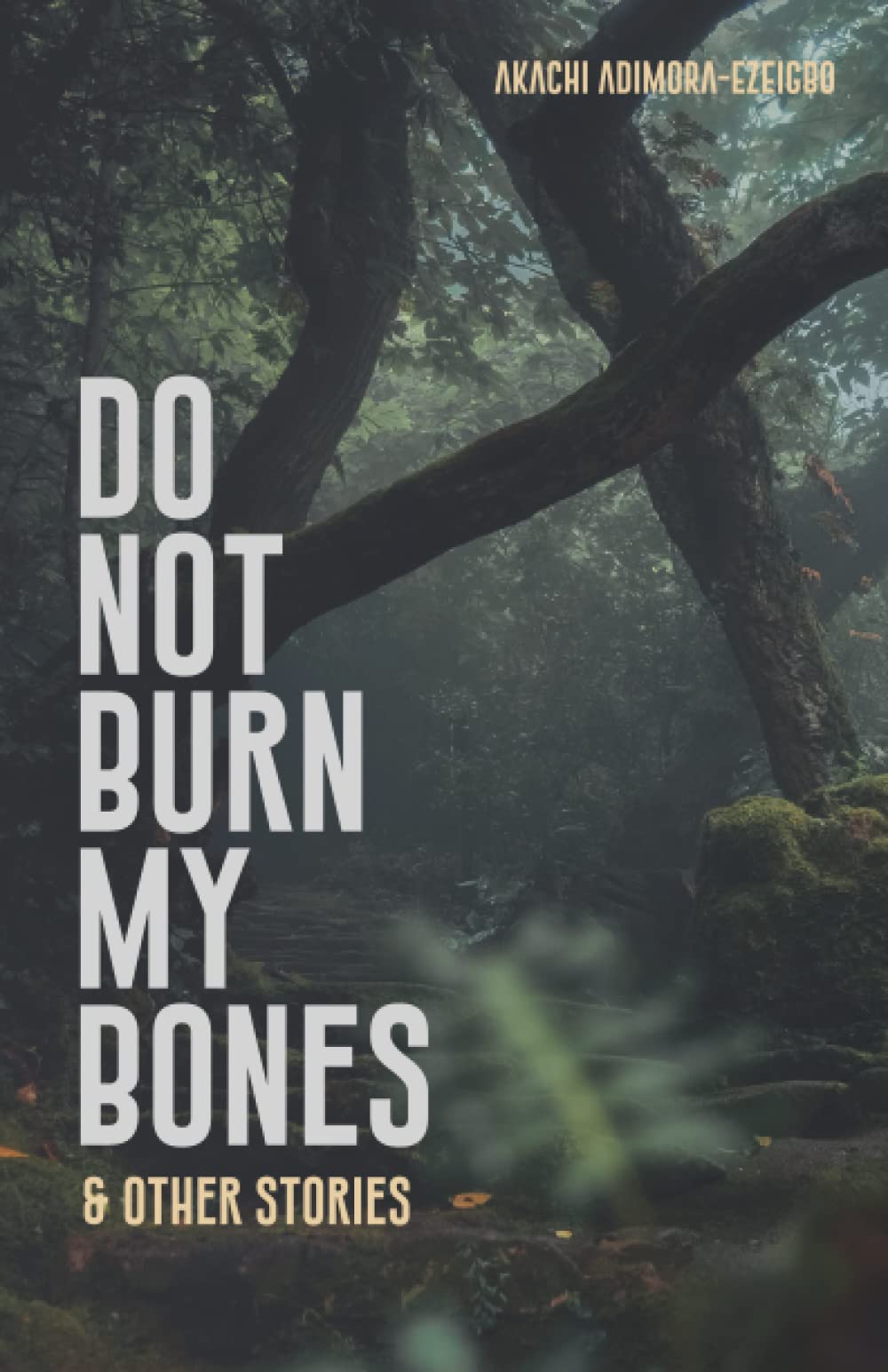 Do Not Burn My Bones And Other Stories