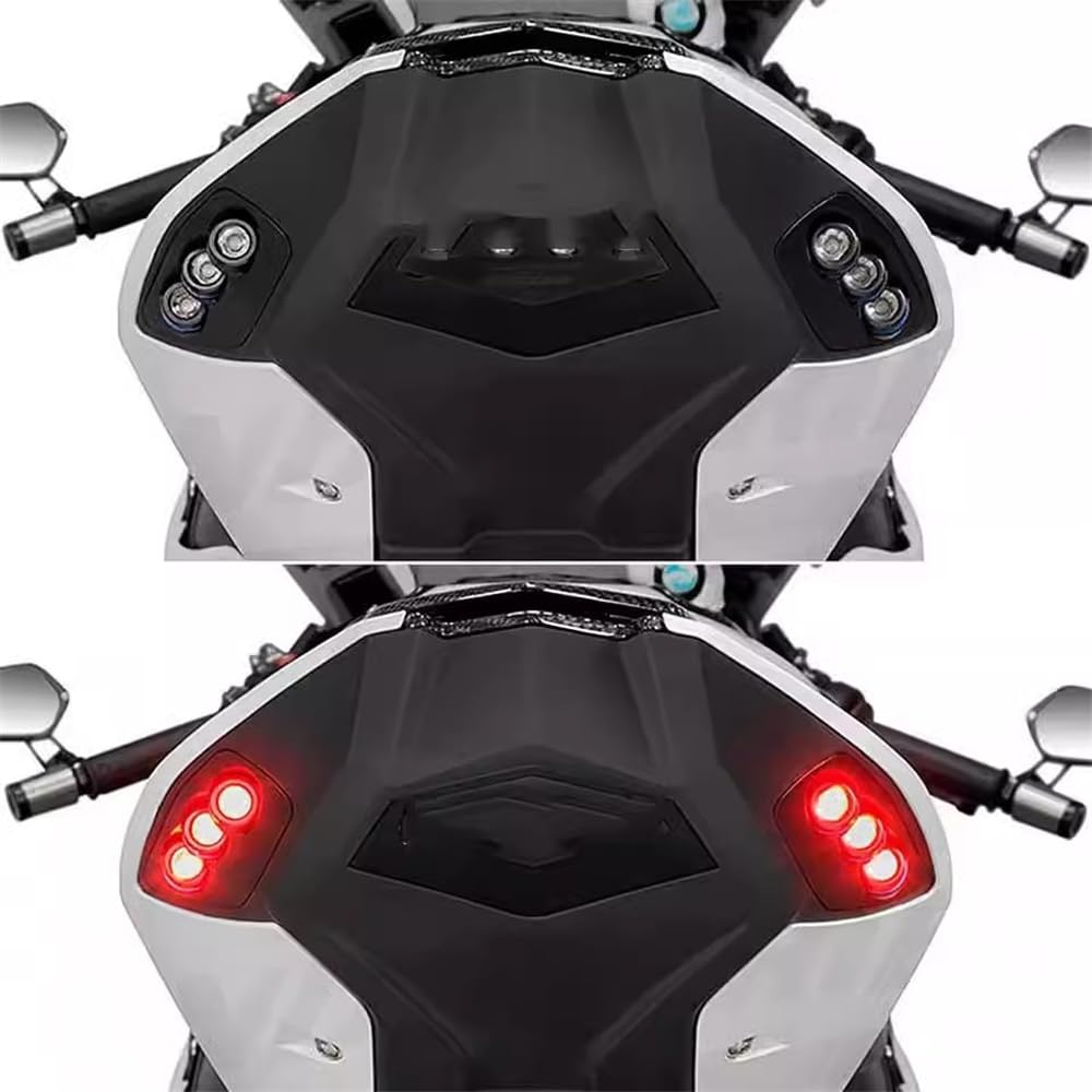 S1000RR Moto Luce posteriore integrata a LED con indicatore di direzione per BMW S1000RR 2023 2024 S 1000 RR (Rosso)