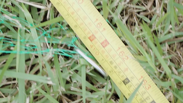 Rete Anti-uccelli, 2 Pezzi 4 10m Rete Anti-uccelli Da Giardino Verde Per La Protezione Delle Piante Protegge Piante Frutta Fiori E Verdura Maglia Da 15 Mm 86945296