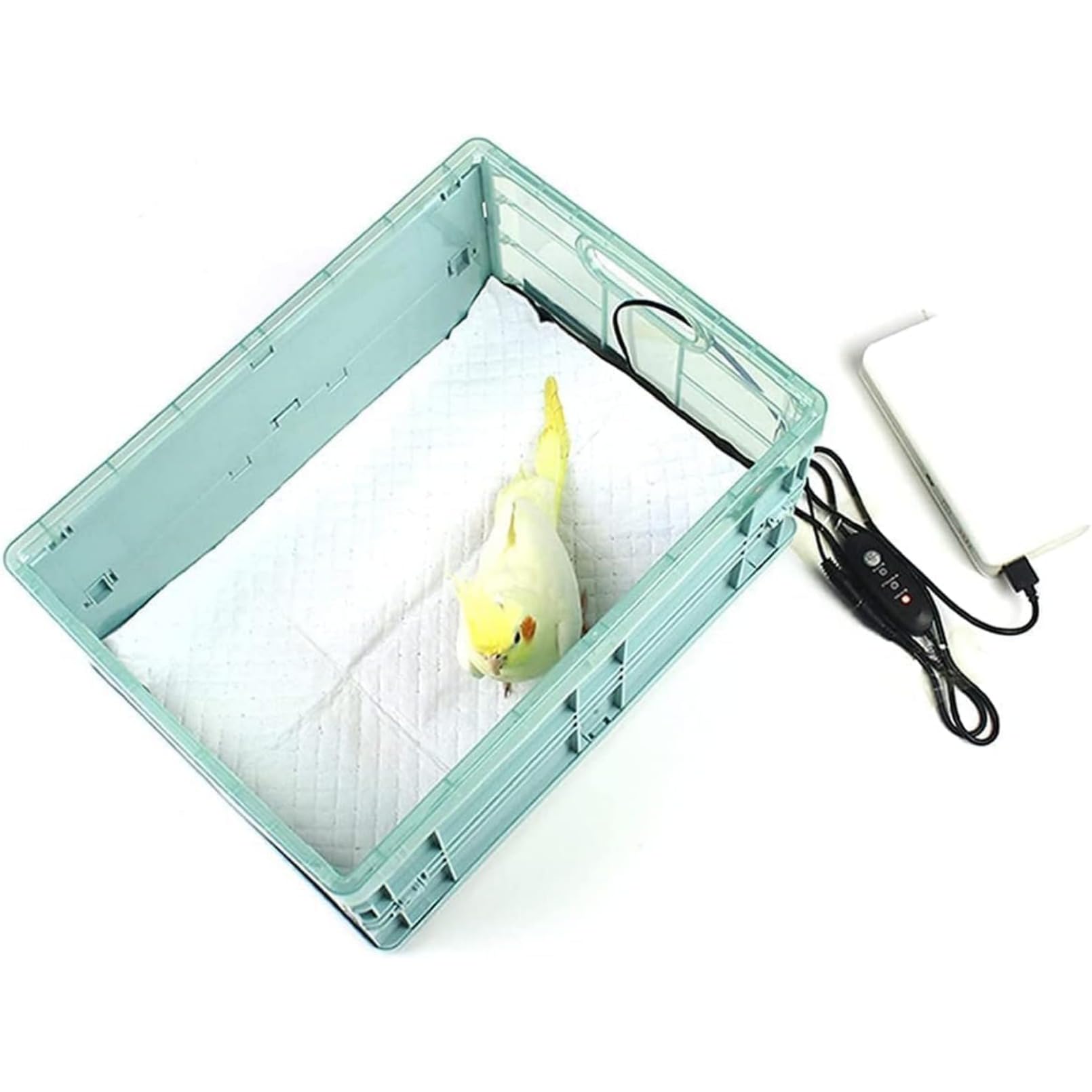 Amazon.co.jp: [otoye] 手動インキュベーターの鳥&小動物のブローダー