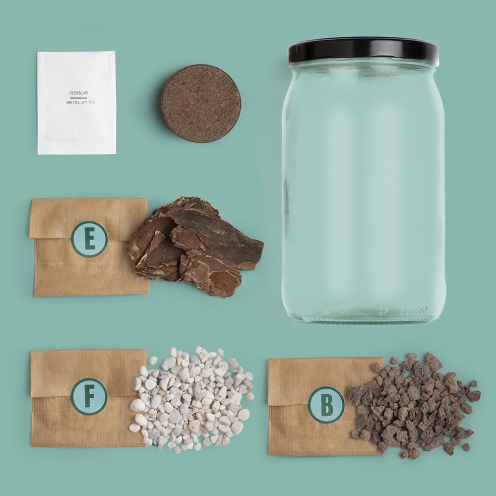Kit Terrarium Resetea | Créez Votre Mini Écosystème à la Maison | Cadeau Original et Créatif pour Amoureux des Plantes