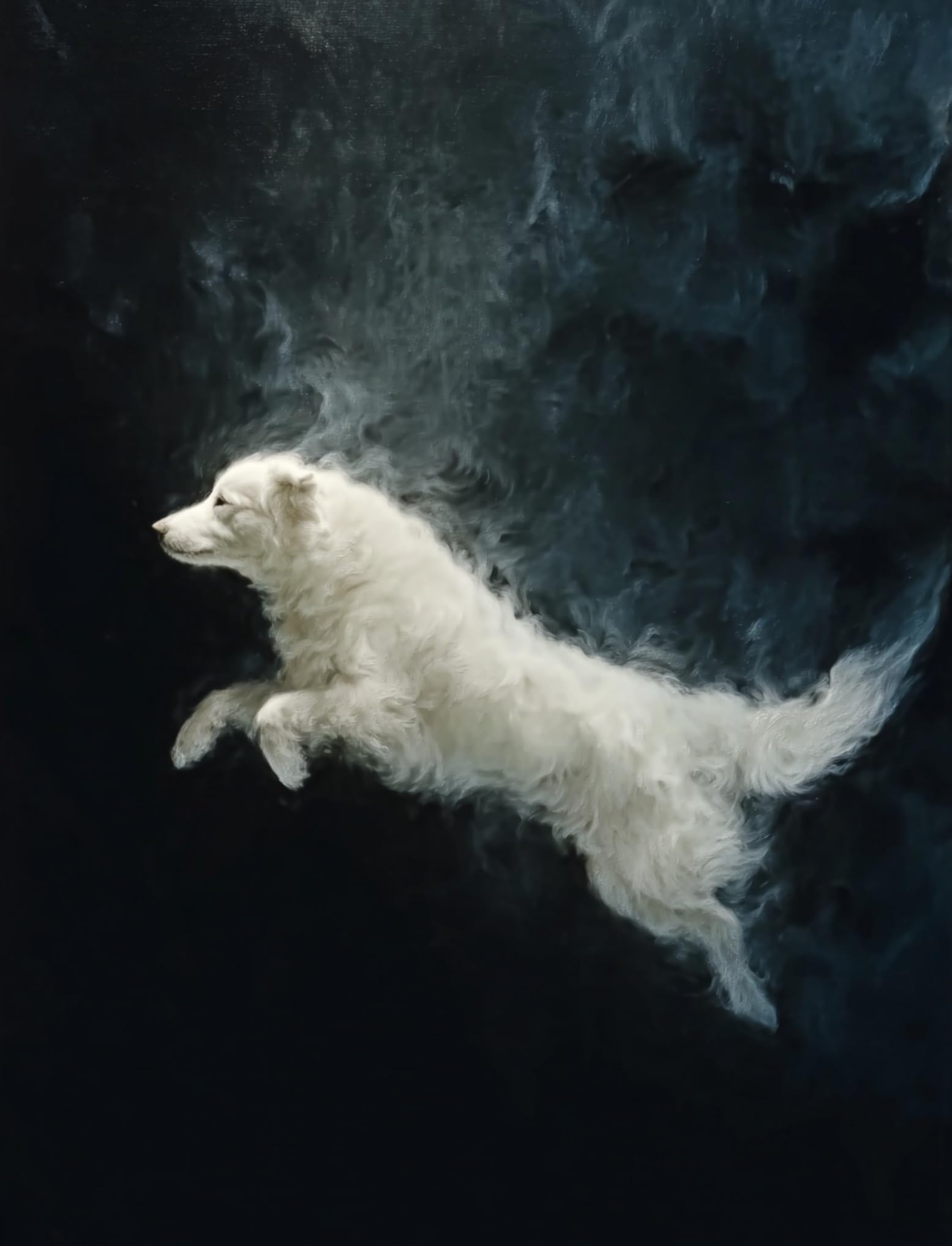 WANGWANGMIAO Paint by Numbers for Adults Beginner,White Dog Painting by Number Kits On Canvas,DIY Color Oil Painting Acrylic Paints,Home Wall Decor 40x50cm/16x20in，with Frame