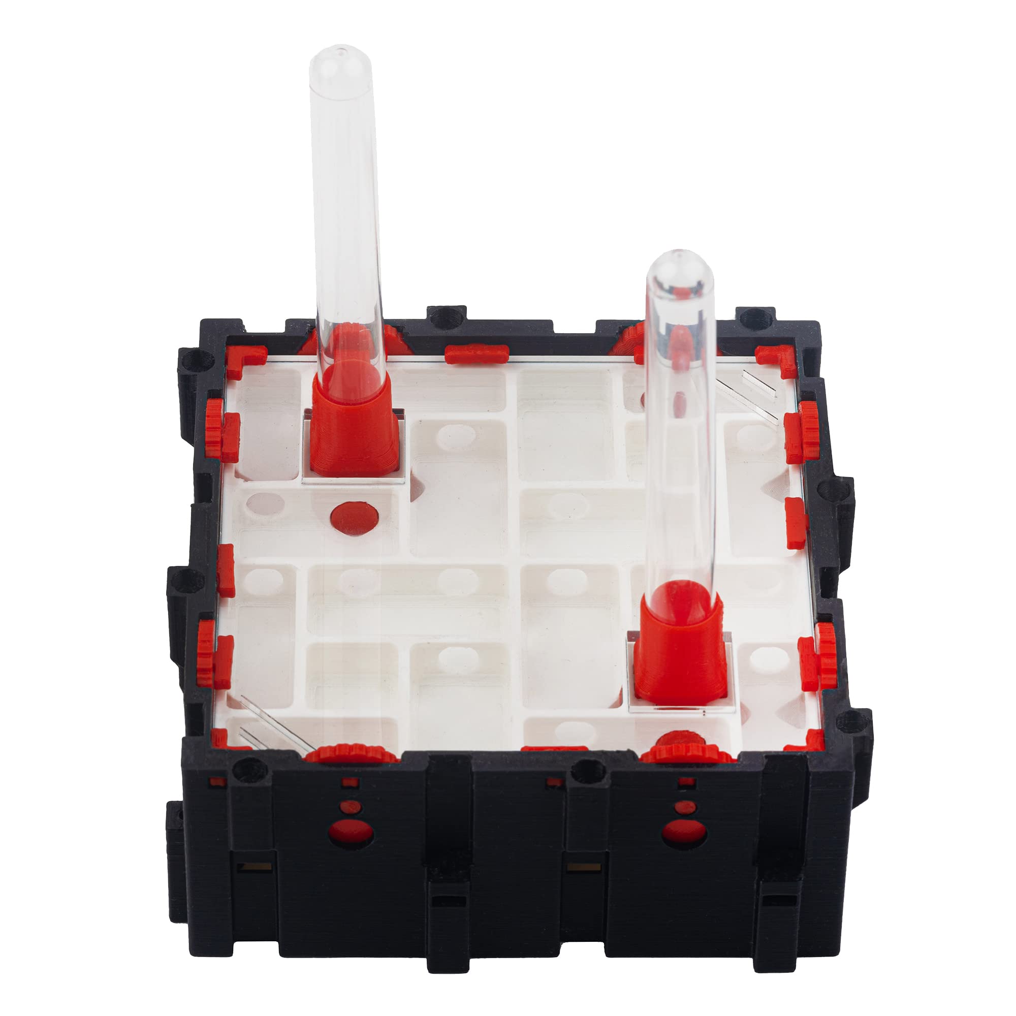 Anthouse.es - Hormigueros Modulares 3D - Modelo QBIK Quadra - Terrario Ampliable para Colonias de Hormigas - Hormiguero con Galerías Medianas - Hormiguero 3D con Sala de Forrajeo - 12,78x12,78x5 cm