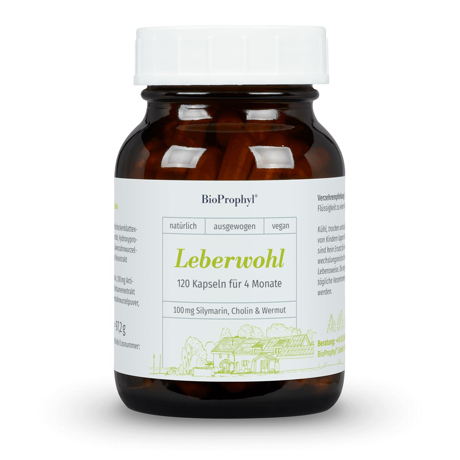 Leberwohl 100 mg Cholin für eine gesunde Leber mit 100 mg Silymarin aus Mariendistelsamenextrakt & bitteren Extrakten aus Wermut, Artischocke & Löwenzahnwurzel | 120 Kapseln für 4 Monate