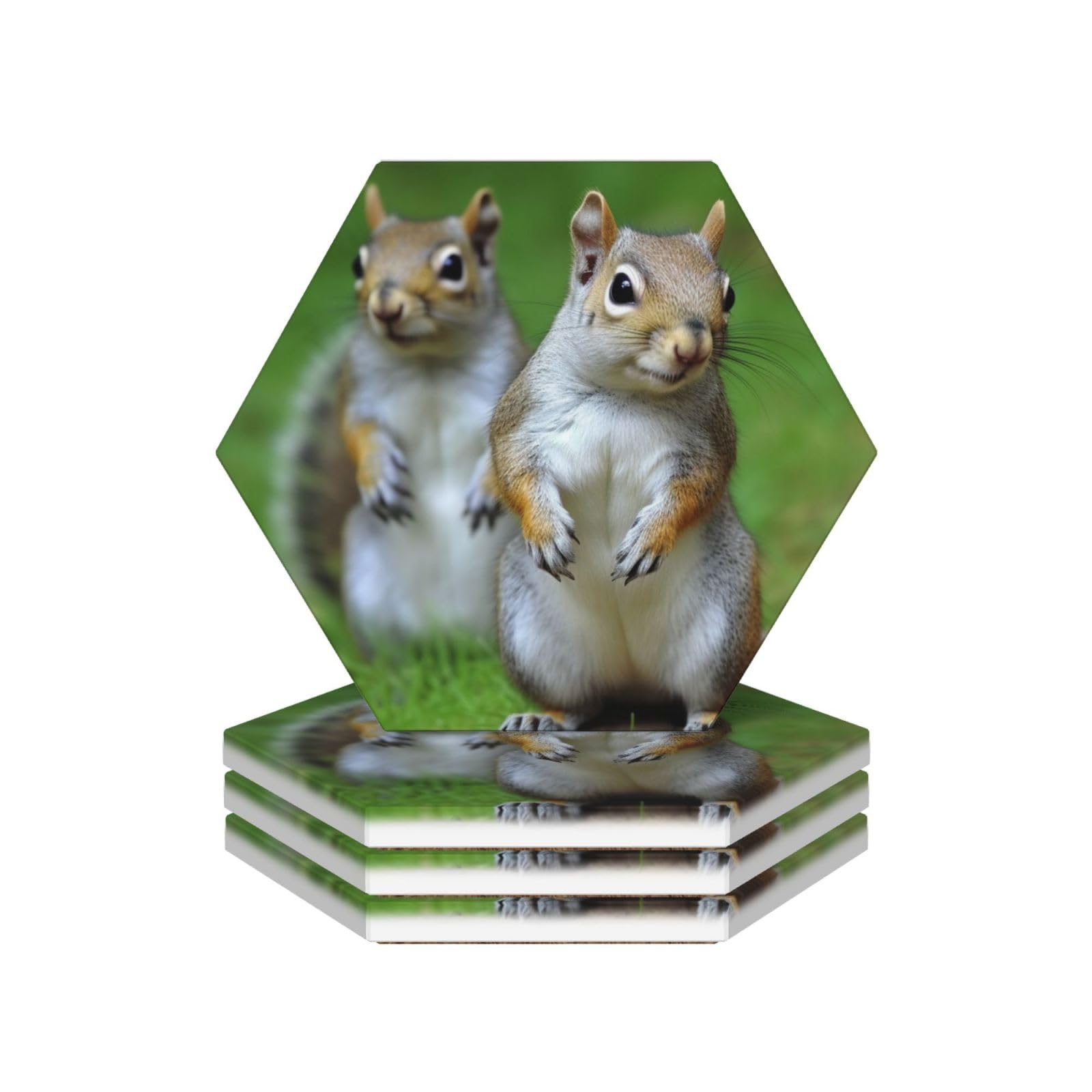 Mxzerfkgla Hexagon Drink Coasters Set Of 4 Ceramic Coaster Squirrel Coasters For Drinks Cups Mugs Mat Pads Absorbent Non-Slip Decorative Cup Coaster For Coffee Table Kitchen Bar Home Decor