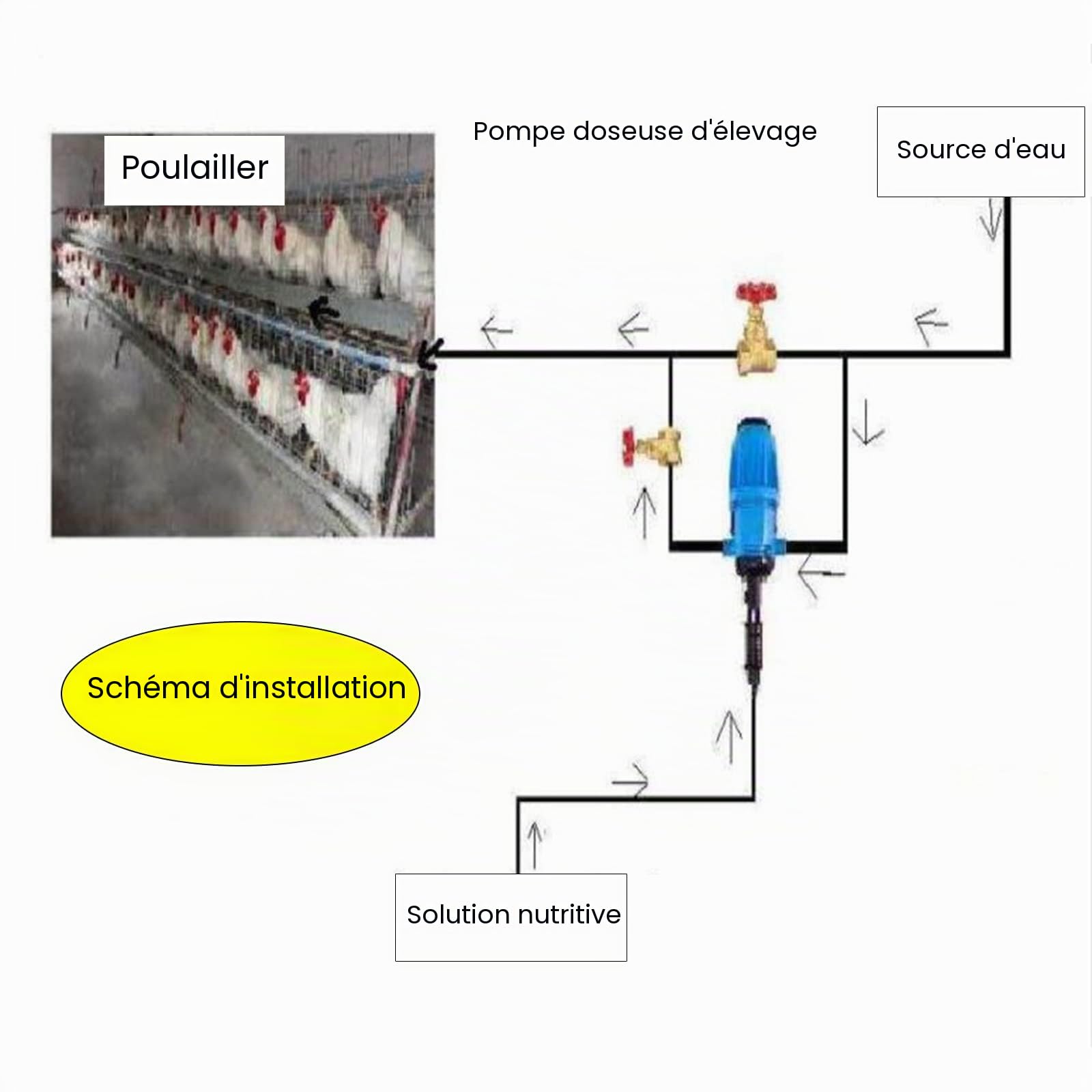 Injecteur d'engrais, pompe de dosage de liquide chimique réglable avec irrigation goutte à goutte 0,4 à 4 % pour agriculture, jardin, abri de jardin, élevage de bétail