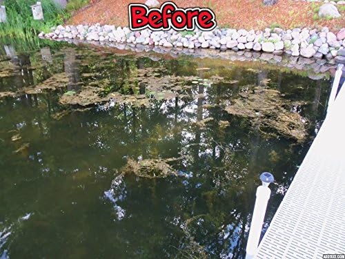 Miniatura 3 de Herramienta de eliminación de malezas Lake Weed. Sistema de mango de largo alcance de 20 pies con cuchillas de acero inoxidable.