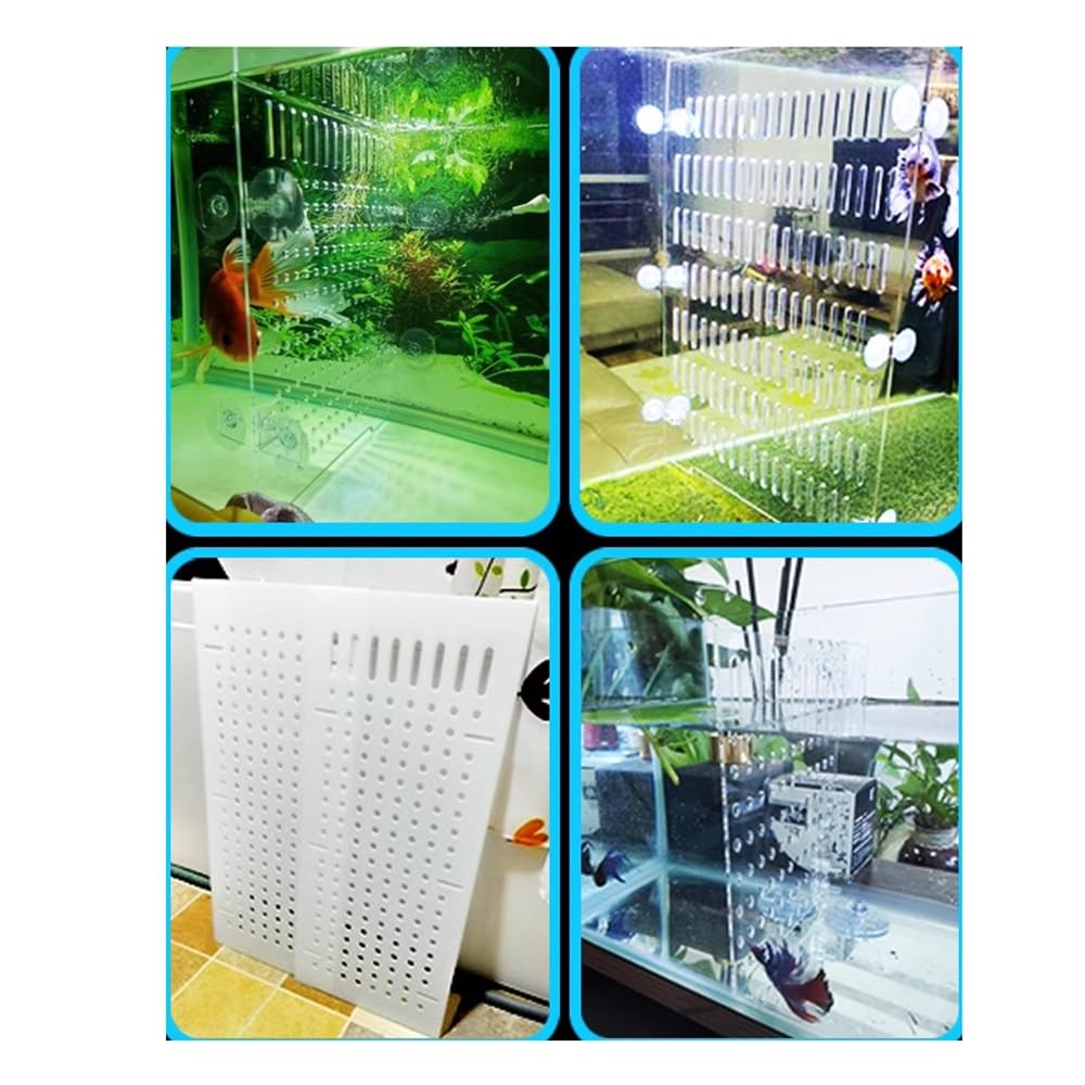 Divisori per Acquario Pannello isolante trasparente per acquario, divisorio acrilico, partizione di rete, previene i pesci, attacco di lotta con le tartarughe, ogni trasparente, dimensioni: 40 x 50 c