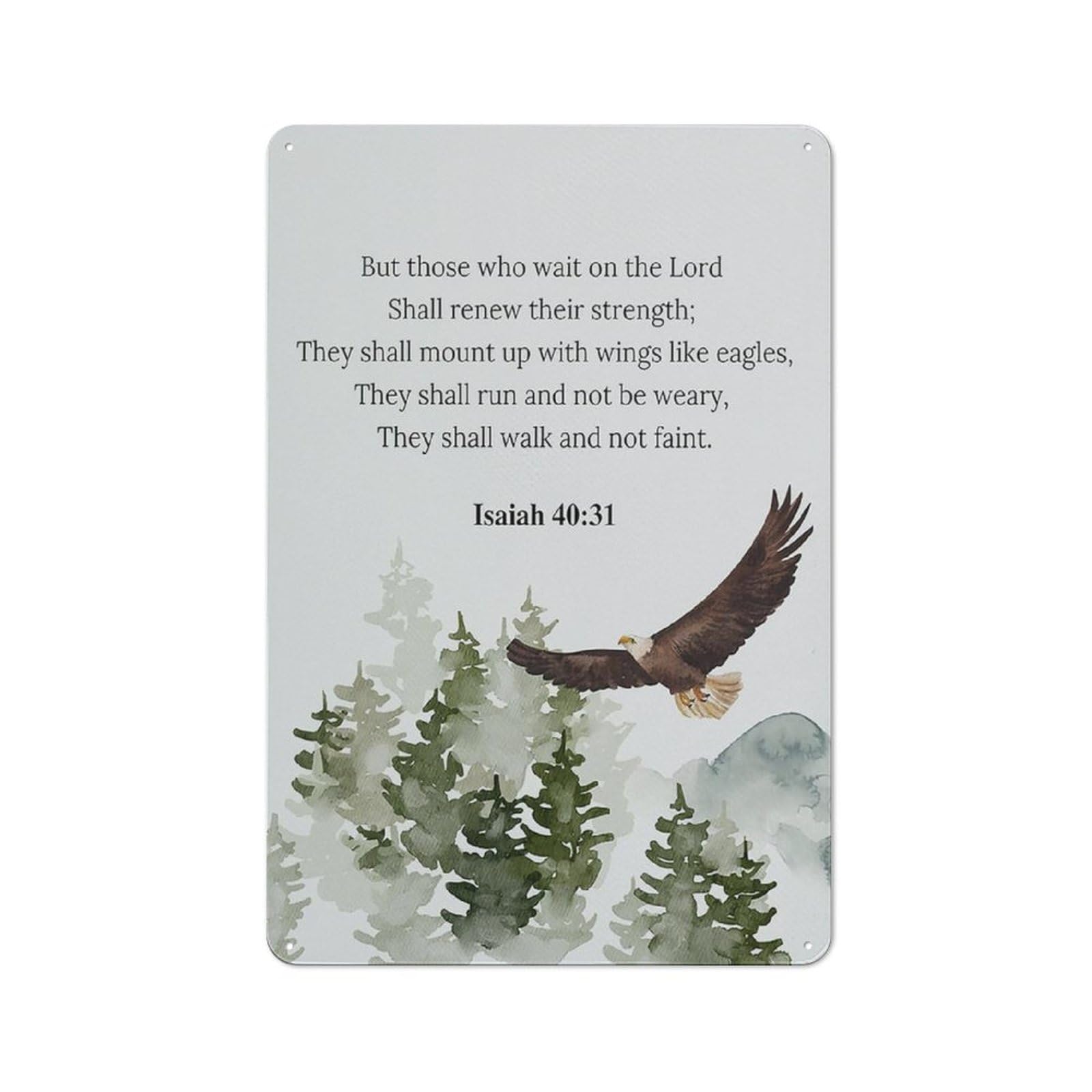 ACDOET Rustic Metal Tin Sign Christian Wall Art,Christian Wall Decor,Bible Verses Wall Decor,Christian Posters,Scripture Wall Decor,Christian Wall Art,Christian Decor,Eagle Decor 8x12 Inch