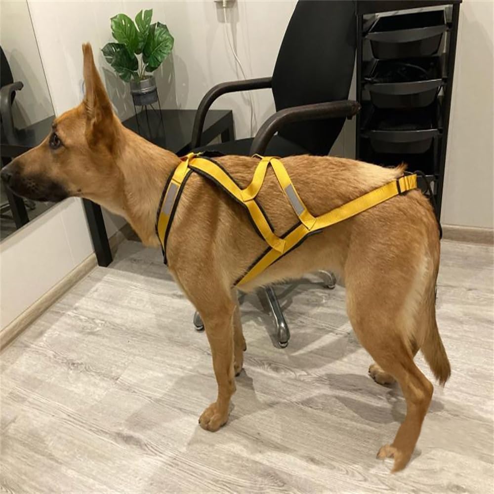 Pettorina Riflettente for Cani Da Slitta | Cintura regolabile sul petto e sul collo, cinghia in nylon resistente(Green,XX-Large)