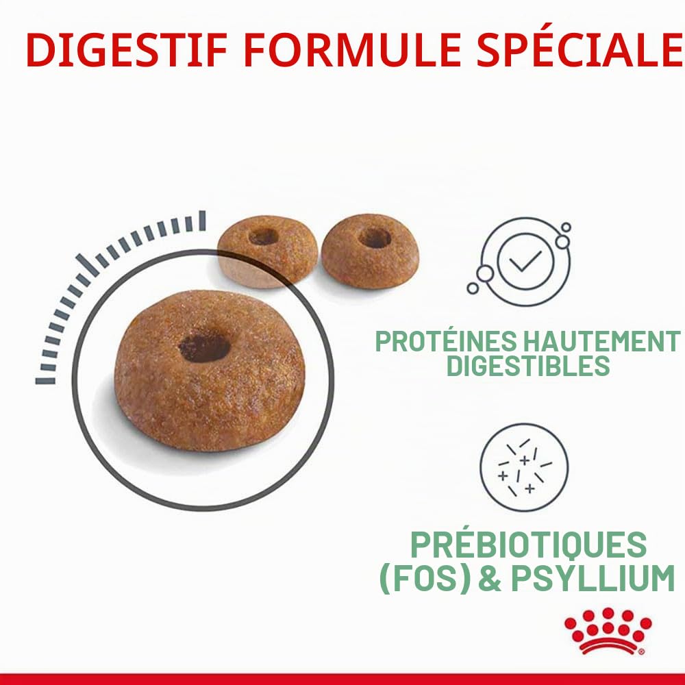 Royal Canin DIGESTIVE CARE pour chats | Pack de 4 | 4 x 400 g | Croquettes pour chats | Peut aider à soutenir une digestion saine