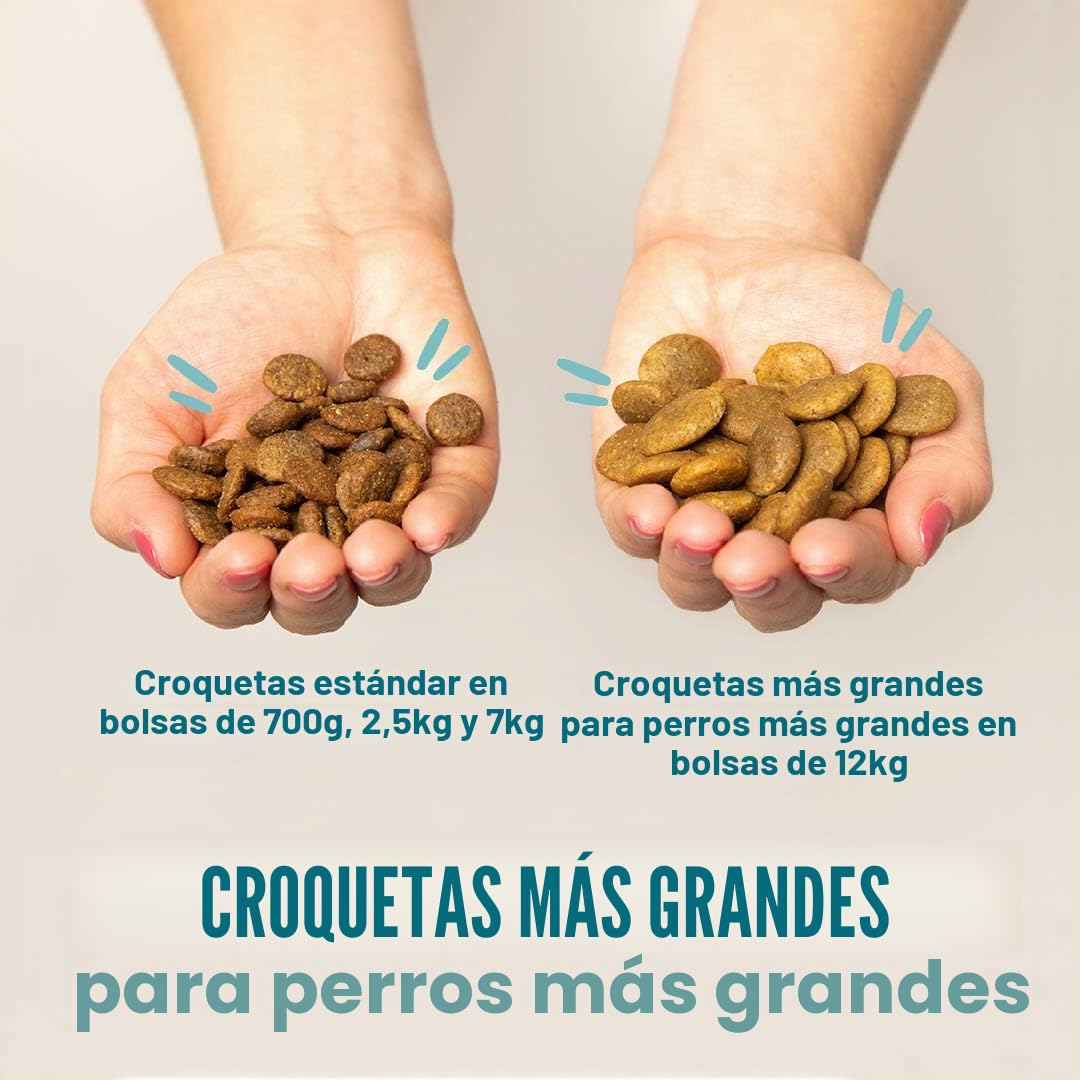 Edgard & Cooper - Comida Seca para Perros Senior (Pollo y salmón, 12 kg), Comida Seca sin Cereales sin azúcar, Ingredientes Naturales, Carne Fresca, Llena de aminoácidos