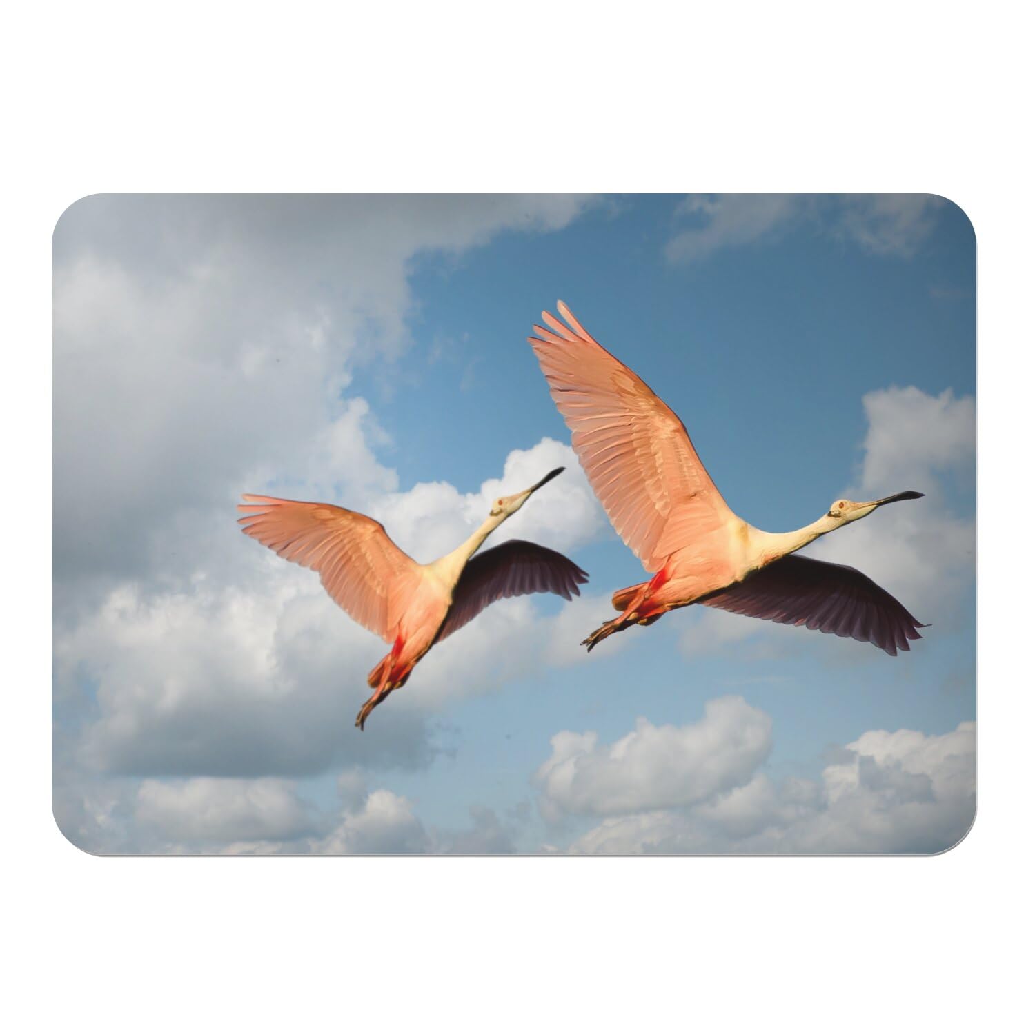Sets de table flamants roses en liège pour décorer vos repas en famille