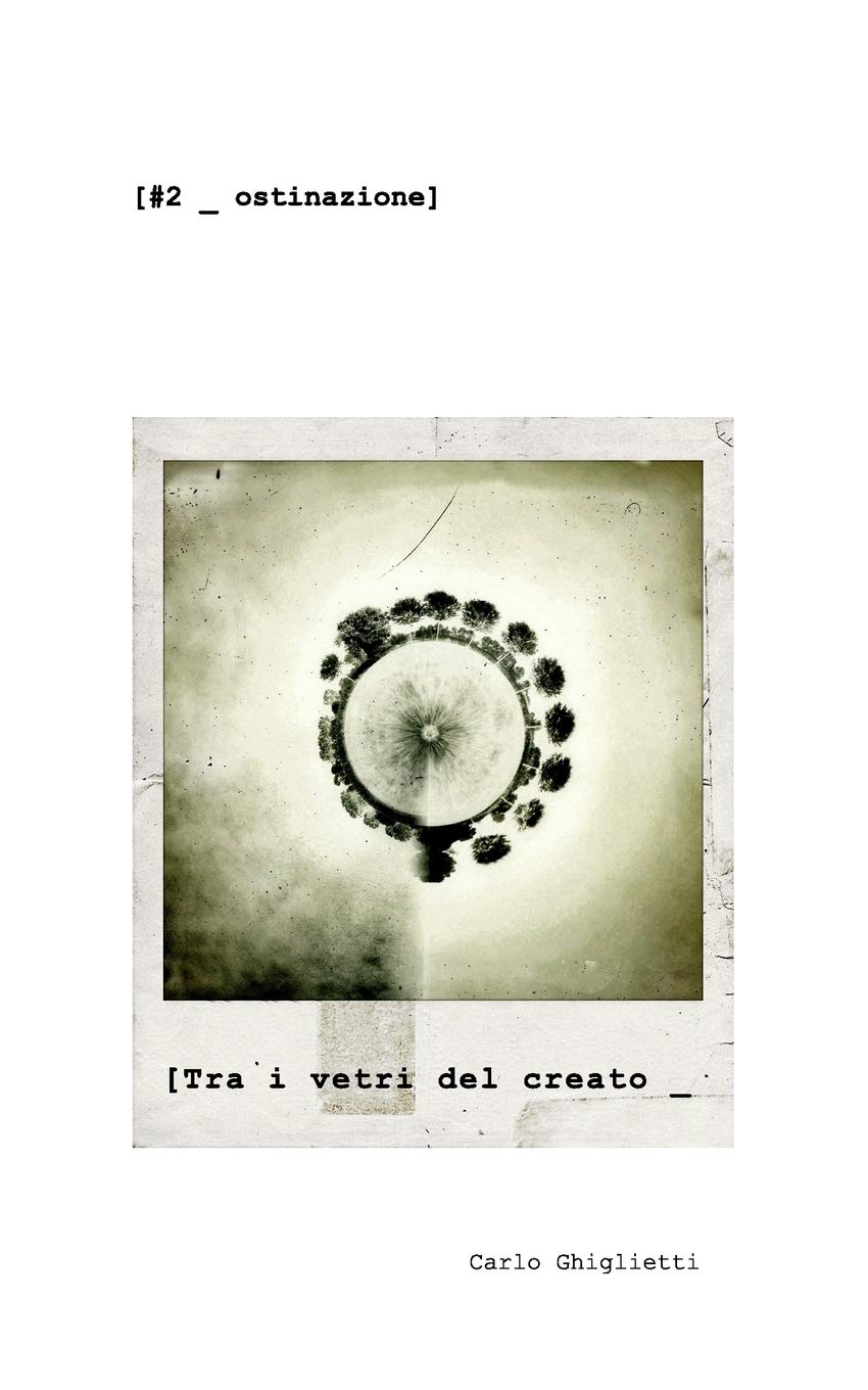 Blurb Tra i vetri del creato