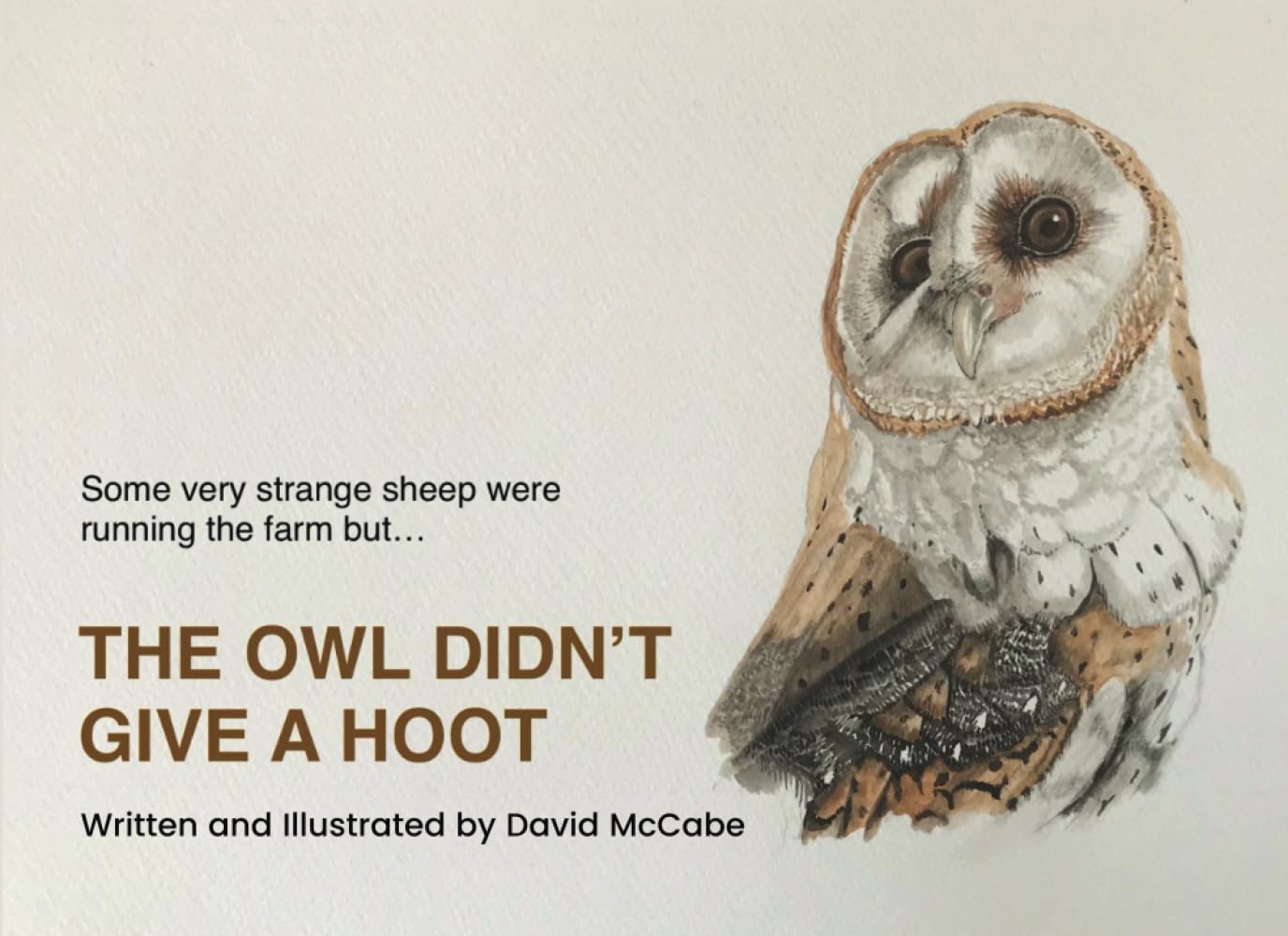 THE OWL DIDN’T GIVE A HOOT: WRITTEN AND ILLUSTRATED BY DAVID MCCABE