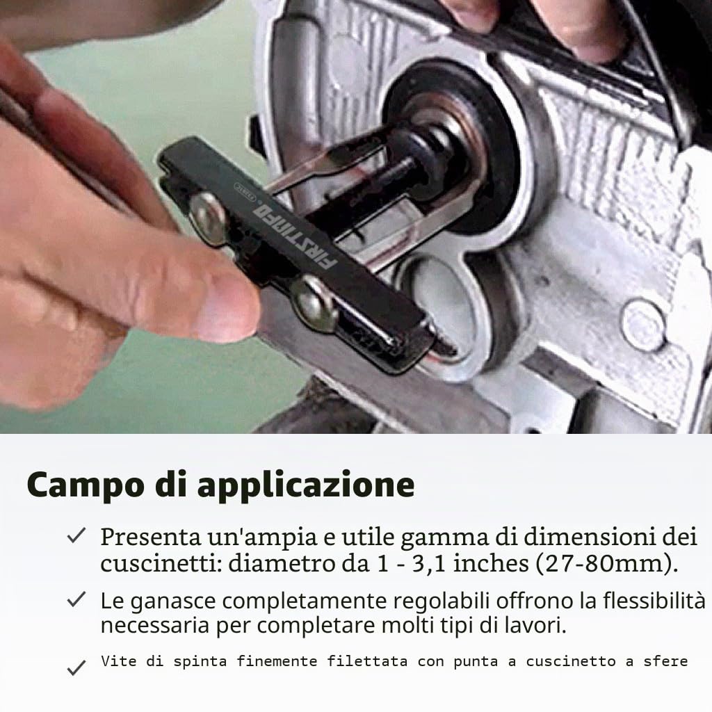FIRSTINFO F3281C | Estrattore paraolio per Albero Motore e Albero a camme con 2 Coppie di Ganci