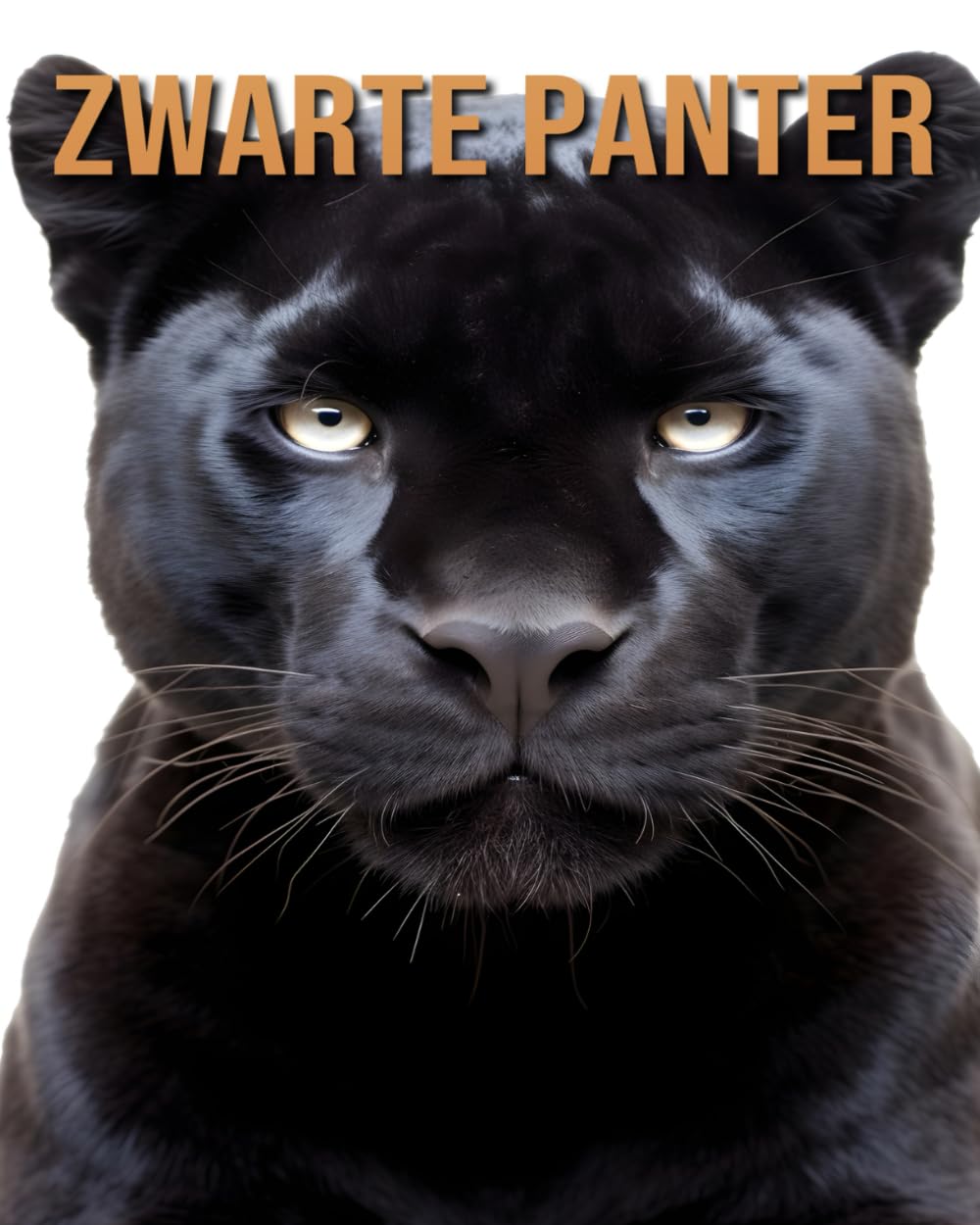 Zwarte Panter: Leer Over de Zwarte Panter en Geniet van Verbazingwekkende Feiten & Foto's