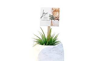 Enhance Plant Growth with Our Sturdy Grow Stick Tags